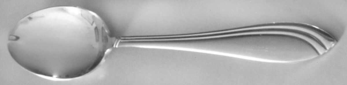 TM110S (Stainless) Teaspoon by Arshia Flatware-1