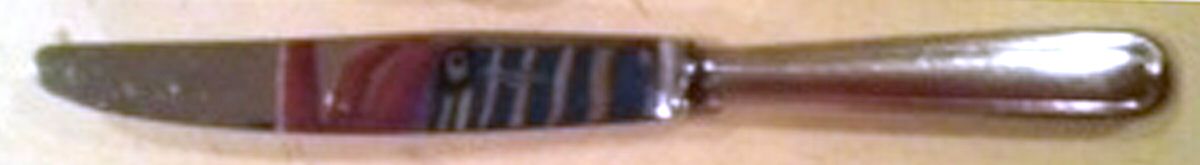 AGN1 (Silverplate) Modern Hollow Knife by Argenta-Bestecke-1