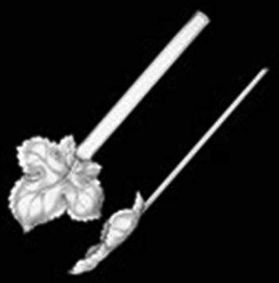 Roman Grape (Aluminum, Hollowware) 2pc Serving Set by Arthur Court-1
