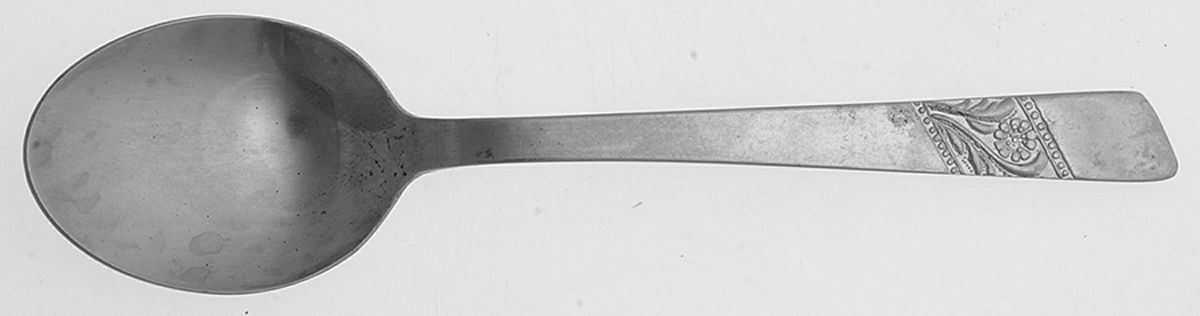 ACF8 (Stainless) Teaspoon by Acsons-1