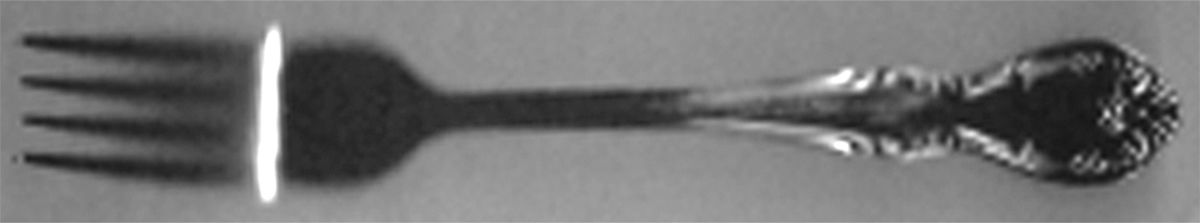 AEW1 (Stainless) Fork by American Living-1