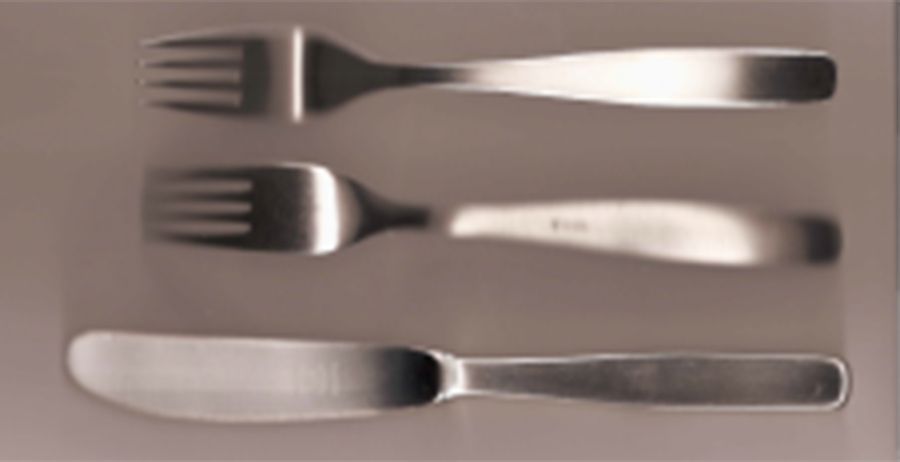 AOS2 (Stainless) Fork by Altosil-1