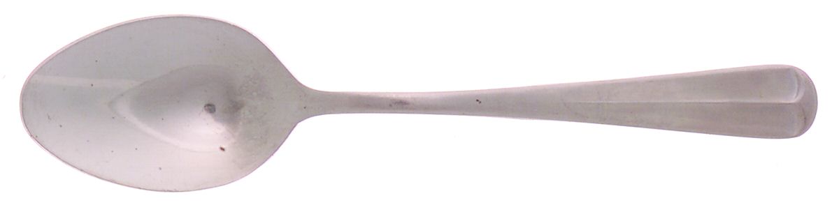 Oyster Bay (Stainless) Teaspoon by Barclay Geneve-1