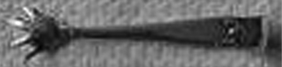George II-Plain (Sterling, 1914) Small Sugar Tongs by Birks Silver-1