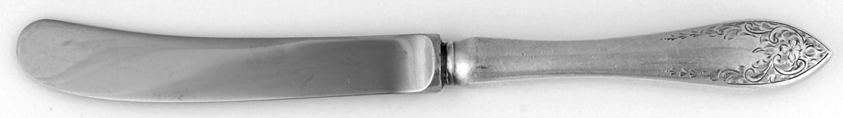 Tudor Royal (Sterling) Butter Spreader Hollow Hdl-Paddle/Stainless Blade by Birks Silver-1