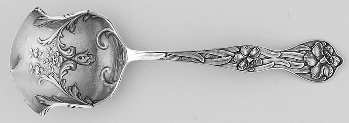 Daffodil (Sterling, 1900) Sugar Shell Spoon by Baker Manchester-1