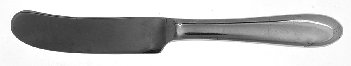 Gourmet (Stainless) Master Butter Spreader, Solid Piece by Boda Nova-1