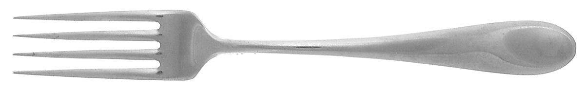 Gourmet (Stainless) Individual Salad Fork by Boda Nova-1