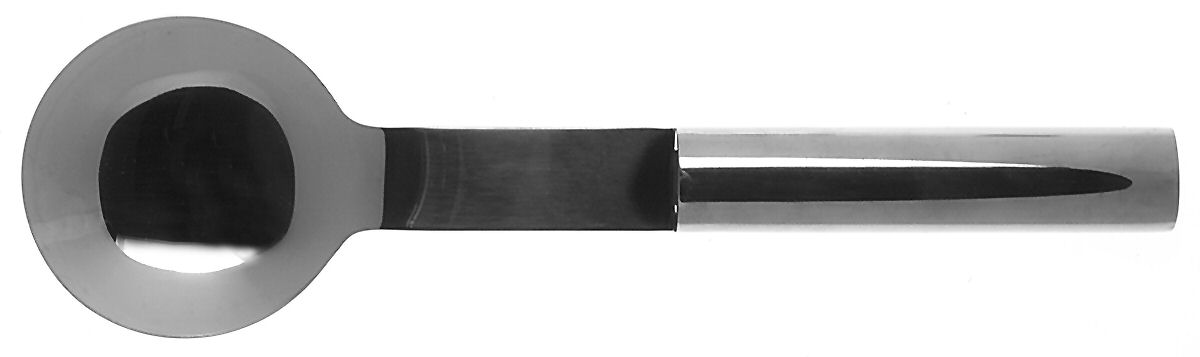 Oval Steel (Stainless, Glossy) Solid Serving Spoon by Boda Nova-1