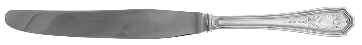 Georgian-Engraved (No Monograms) Modern Hollow Knife by Birks Silver-1