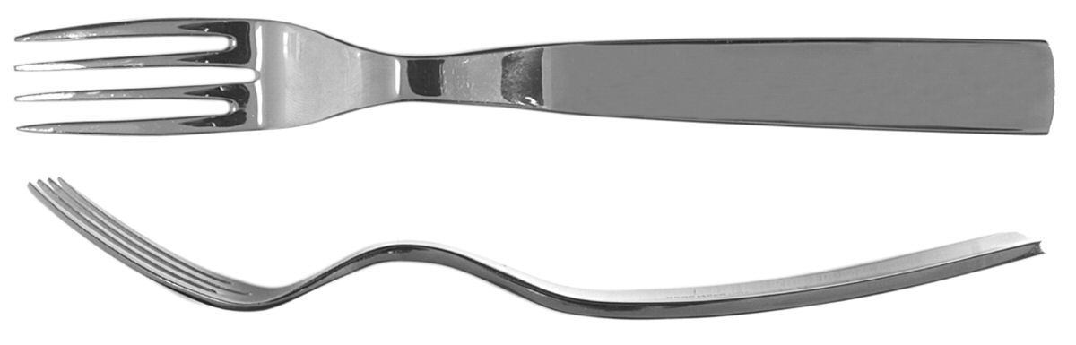 Ibis (Stainless) Fork by Boda Nova-1