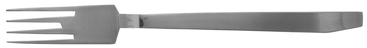 BIW1 (STAINLESS) Fork by Bissell & Wilhite -1