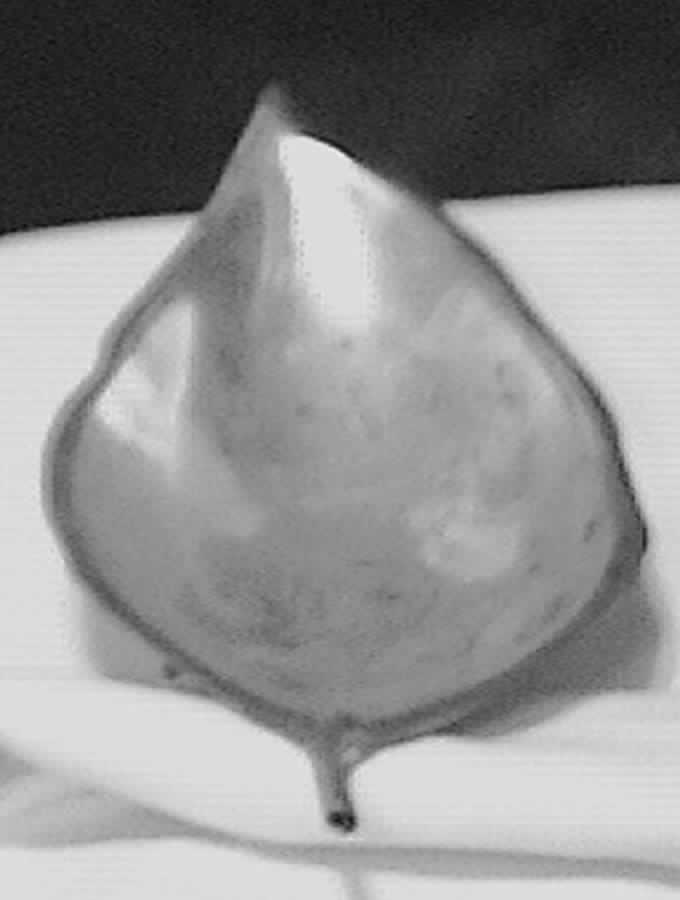 10 (Sterling, Hollowware) 7" Sterling Bon Bon Bowl by Bailey, Banks & Biddle-1
