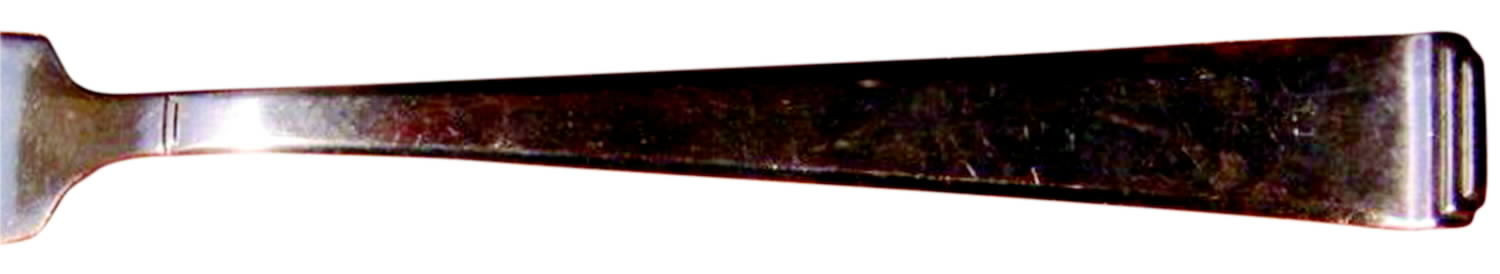 BDR1 (Silverplate) Fork by Bader-1