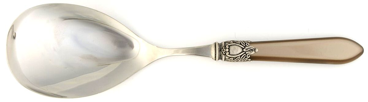 Oxford-Taupe (Stainless, Acrylic) Solid Serving Spoon by Bugatti-1