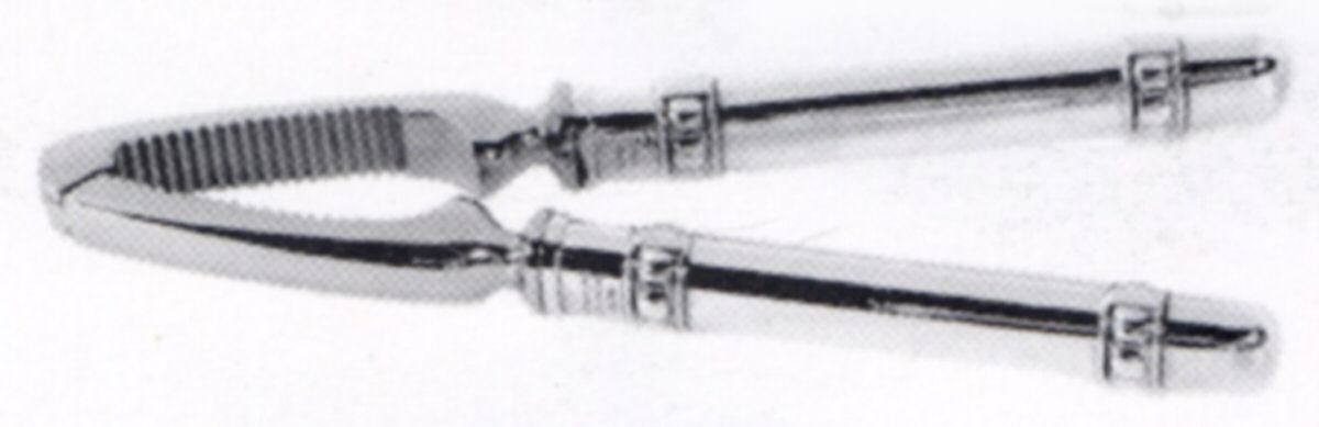 Palazzo Strozzi (Sterling) Grape Shears/Nutcracker with Stainless Grip by Buccellati-1
