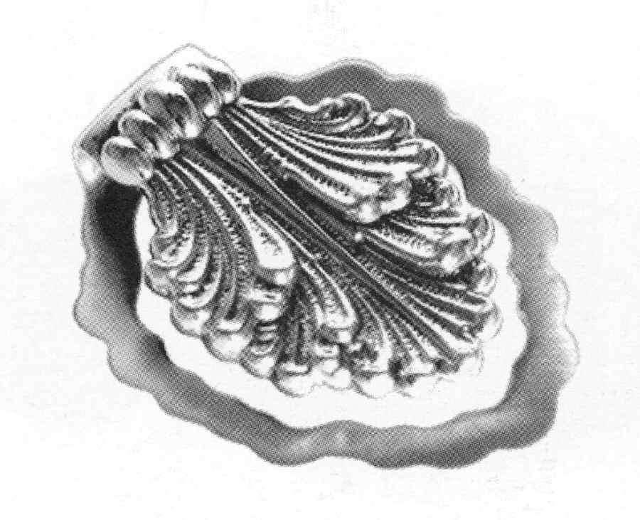 Laura (Sterling, Hollowware) Money Clip by Buccellati-1