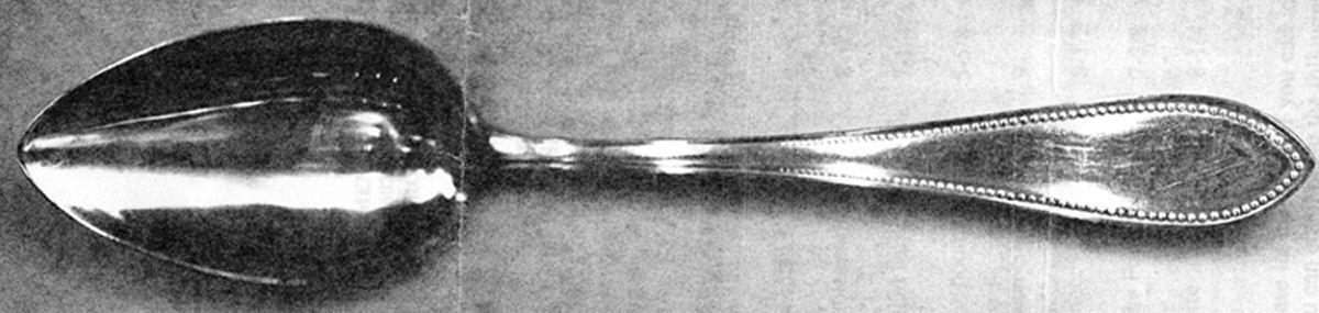 B1O1 (Silverplate) Tablespoon (Serving Spoon) by Bohrmann-1