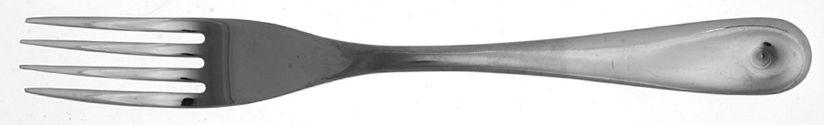 Point (Stainless) Fork by Boda Nova-1
