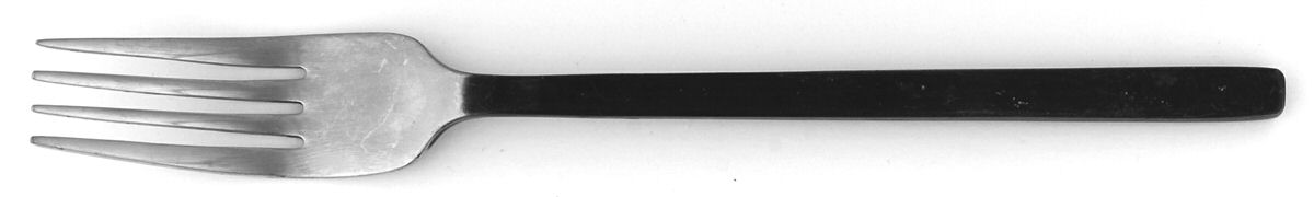 Ranch Iron (Stainless) Fork by Bobby Flay-1