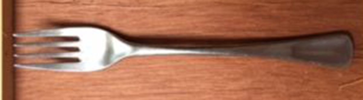 Ambassador Fork by Berndorf-1
