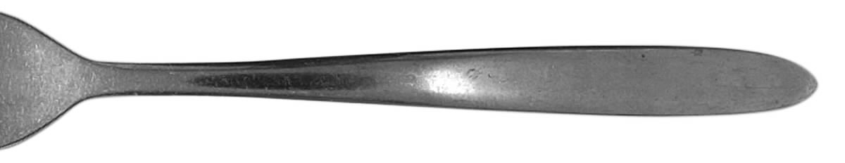 Cao4 (Stainless) Fork by Capco-1