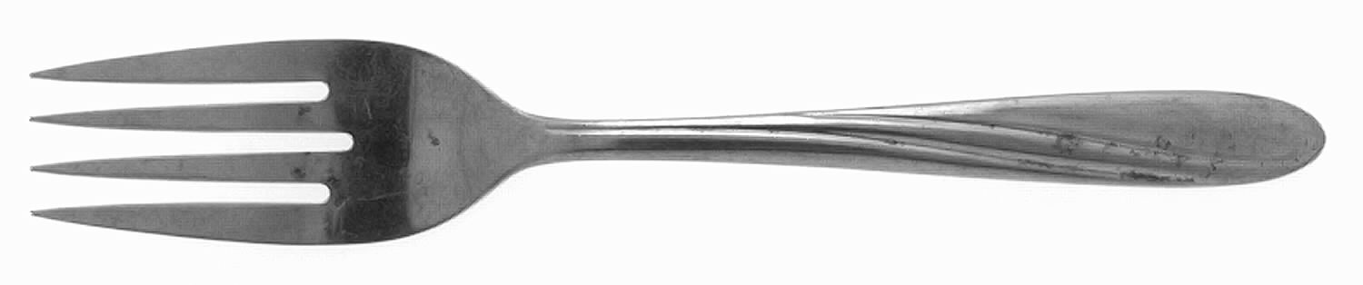 CAP1 (Stainless) Fork by Capri Stainless-1