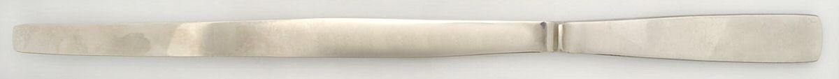 CAP2 (STAINLESS) Ham Slicer Knife, Solid Piece by Capri Stainless-1