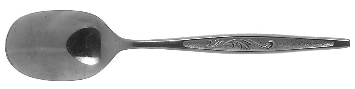 CAS1 (STAINLESS) Sugar Spoon by Carlton Stainless-1