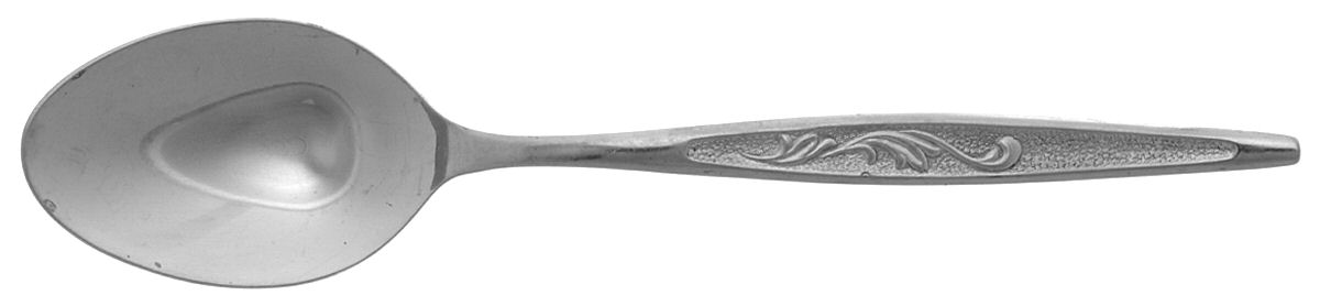 CAS1 (STAINLESS) Teaspoon by Carlton Stainless-1