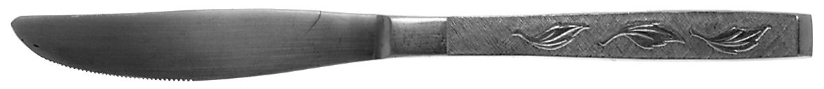 CAS2 (STAINLESS) Modern Solid Knife by Carlton Stainless-1