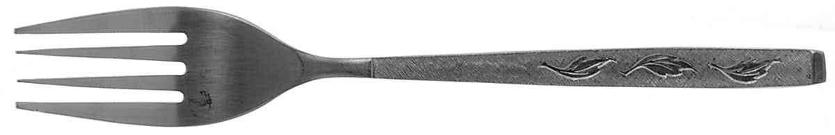 CAS2 (STAINLESS) Individual Salad Fork by Carlton Stainless-1