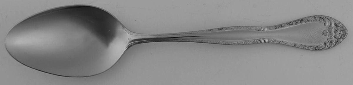 CAS4 (STAINLESS) Teaspoon by Carlton Stainless-1