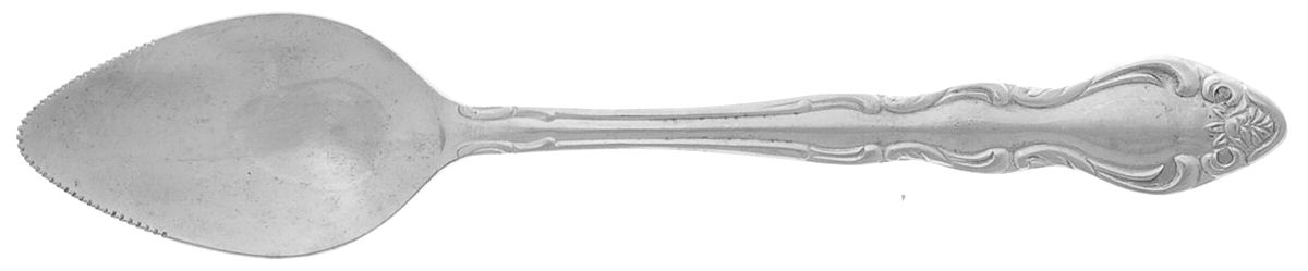 CAY1 (STAINLESS) Fruit/Orange Spoon by Carlyle Silver-1