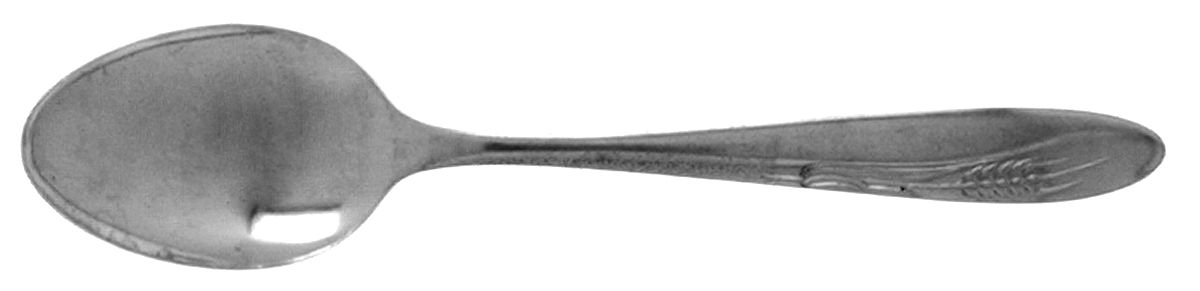 CCS1 (STAINLESS) Teaspoon by Castle Court-1