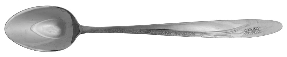 CCS1 (STAINLESS) Tablespoon (Serving Spoon) by Castle Court-1