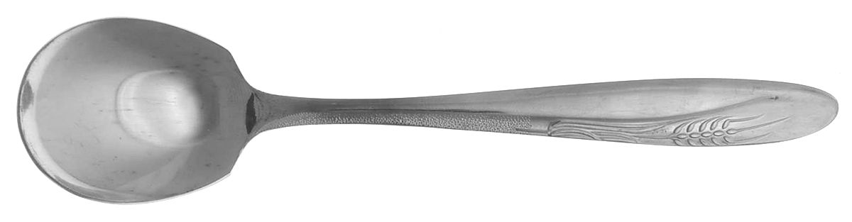 CCS1 (STAINLESS) Sugar Spoon by Castle Court-1