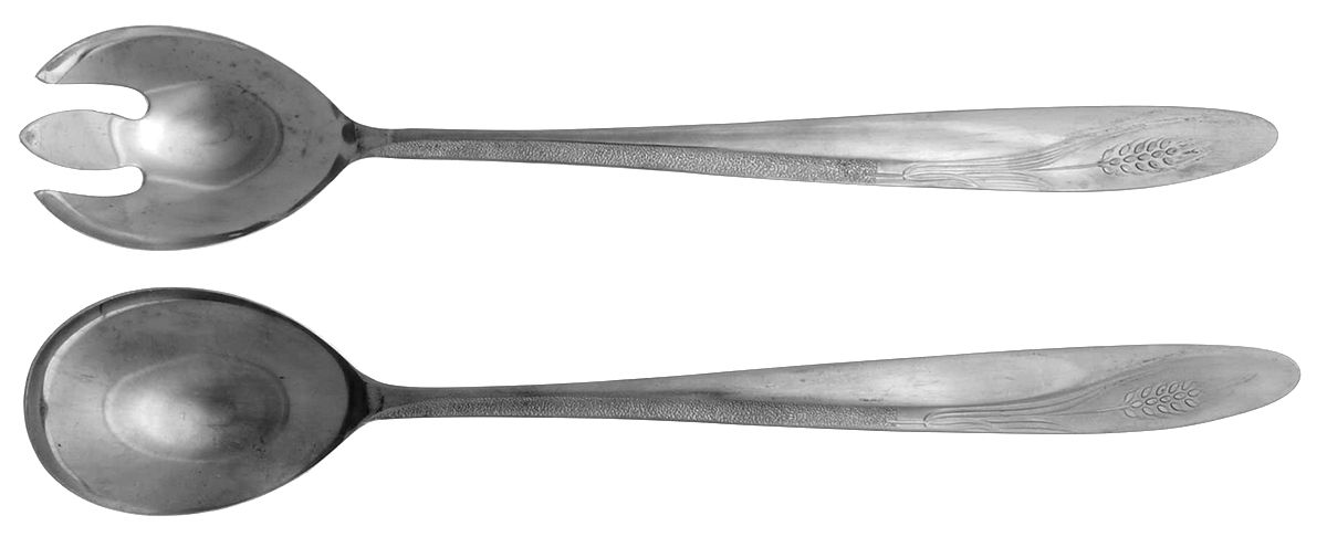 CCS1 (STAINLESS) (2 Pc) Solid Salad Set by Castle Court-1