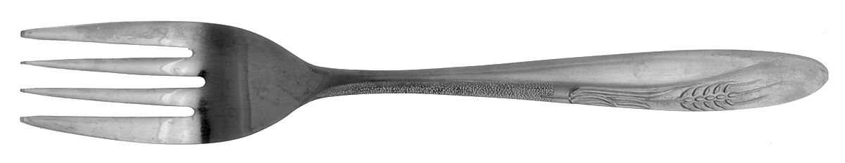 CCS1 (STAINLESS) Individual Salad Fork by Castle Court-1