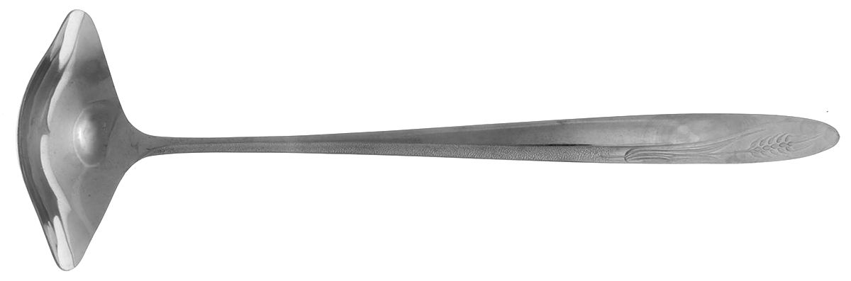 CCS1 (STAINLESS) Punch Ladle Solid Piece by Castle Court-1