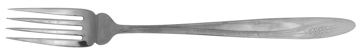 CCS1 (STAINLESS) Large Solid Cold Meat Serving Fork by Castle Court-1