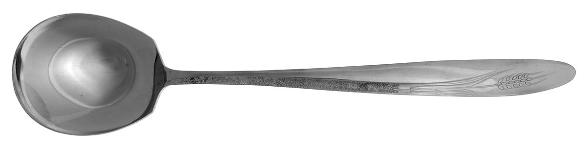 CCS1 (STAINLESS) Solid Smooth Casserole Spoon by Castle Court-1