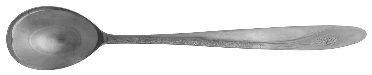 CCS1 (STAINLESS) Solid Salad Serving Spoon by Castle Court-1