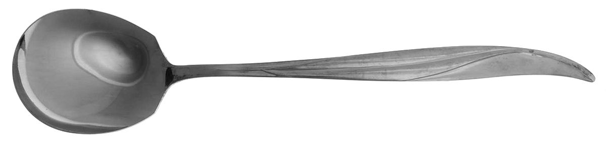 CCS2 (STAINLESS) Large Solid Casserole Spoon by Castle Court-1