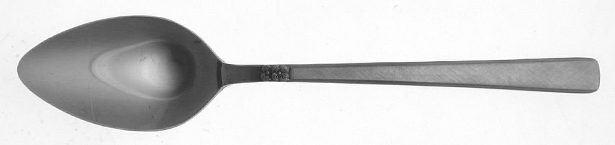 CCS3 (STAINLESS) Teaspoon by Castle Court-1