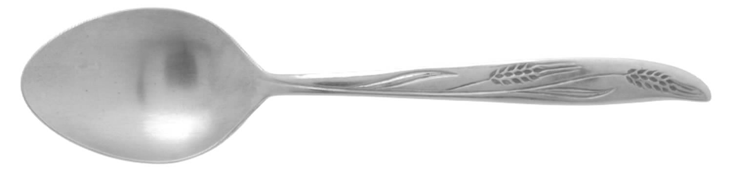 CCS7 (STAINLESS) Teaspoon by Castle Court-1
