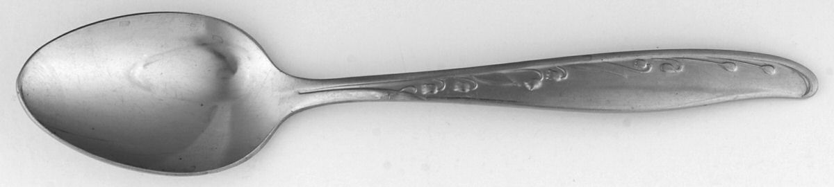 Algonquin (Stainless) Teaspoon by CG Flatware-1