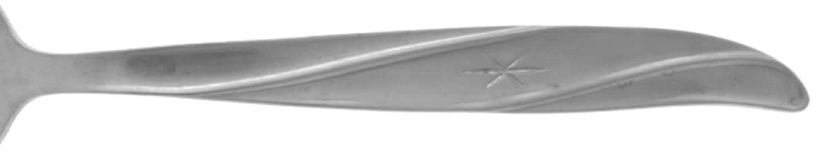 Cg2 (Stainless) Teaspoon by CG Flatware-1