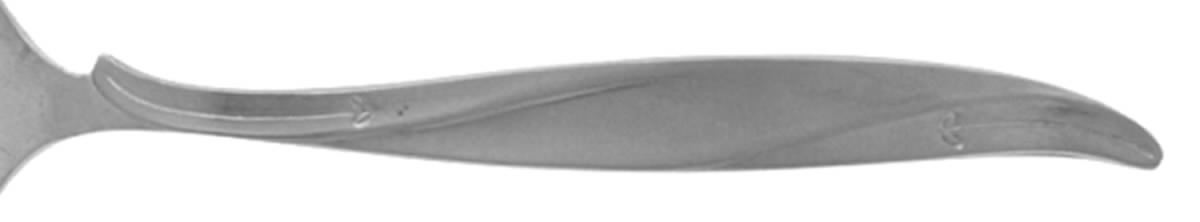 Cg6 (Stainless) Teaspoon by CG Flatware-1