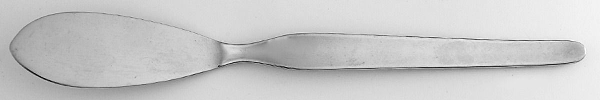 Bridal Dream (Stainless) Flat Handle Master Butter Knife by Coreling-1